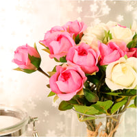 Sabrina Rose Bunch (9 Stems Per Bunch)