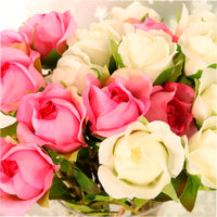 Sabrina Rose Bunch (9 Stems Per Bunch)
