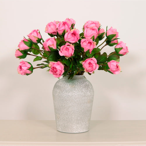 Sabrina Rose Bunch (9 Stems Per Bunch)