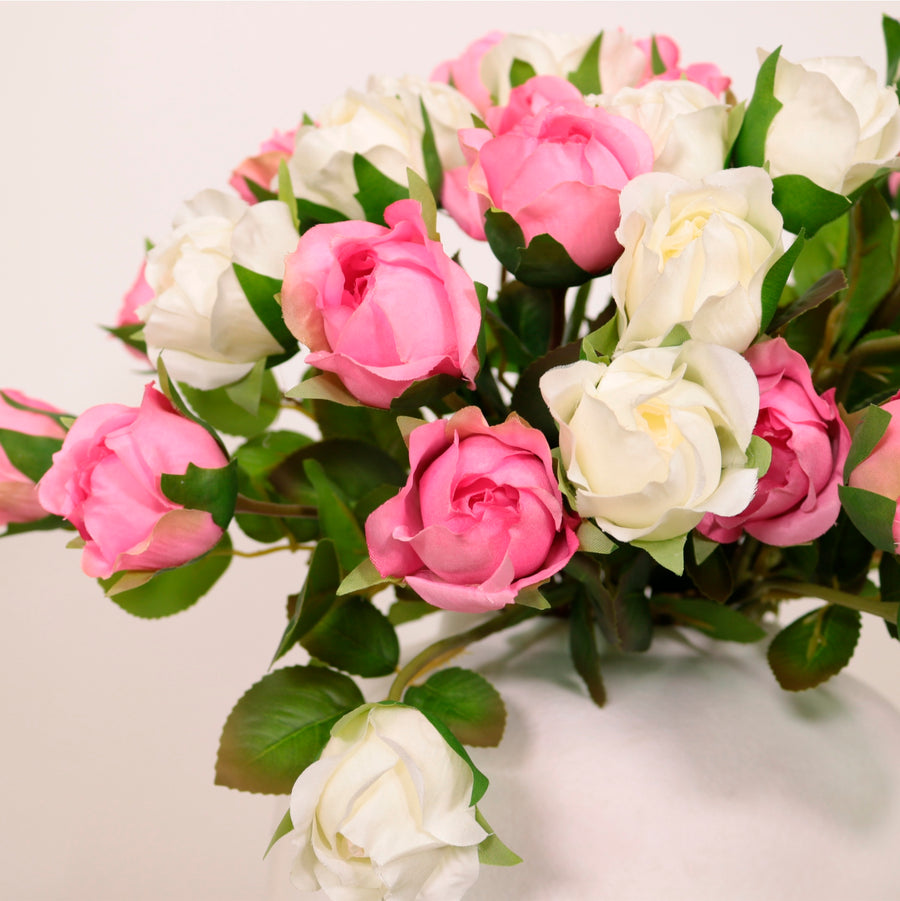Sabrina Rose Bunch (9 Stems Per Bunch)