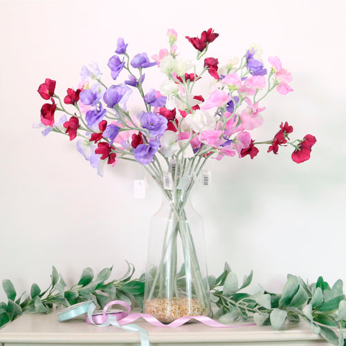 Sweet Pea