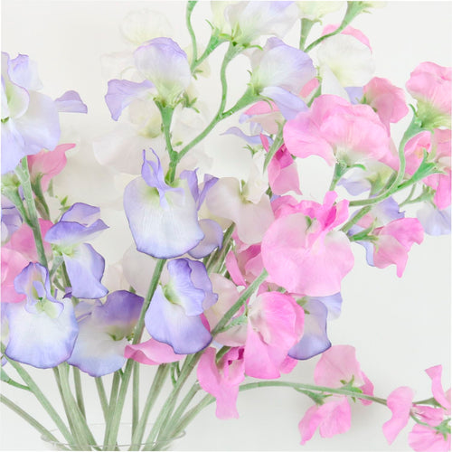 Sweet Pea
