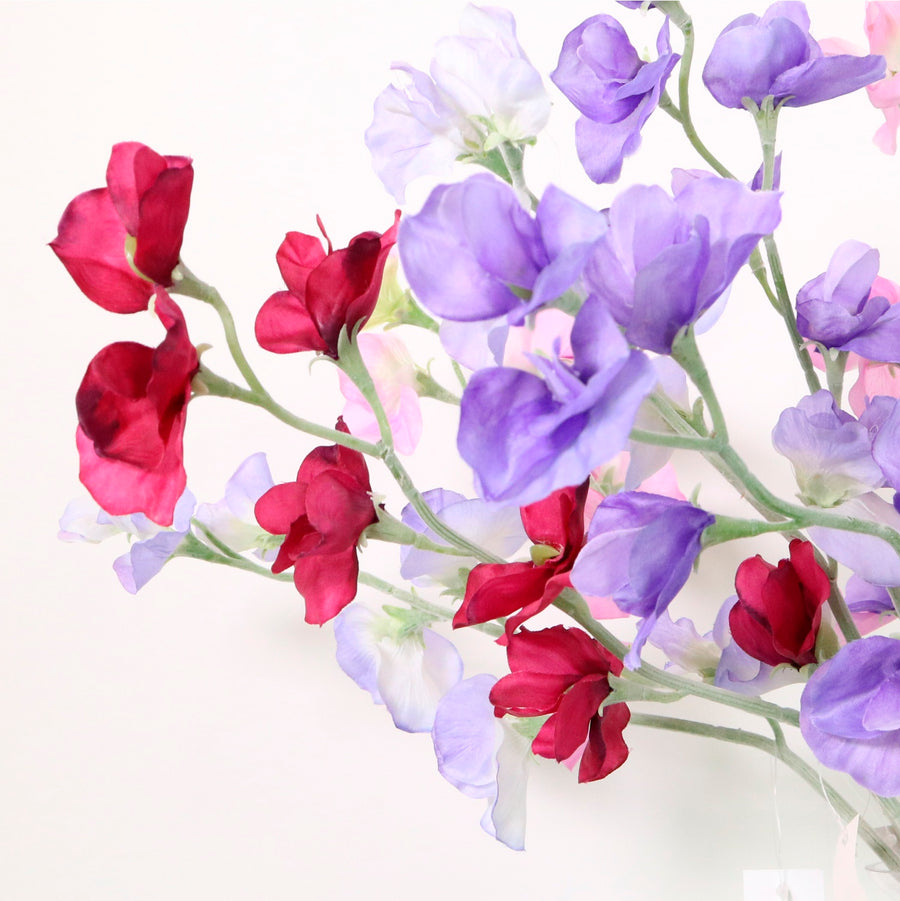 Sweet Pea