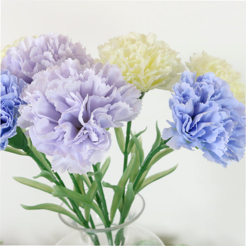 Carnation Stem