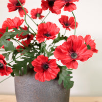 Small Wild Meadow Poppy Spray