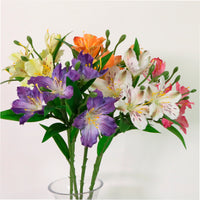 Speckled Alstroemeria Stem