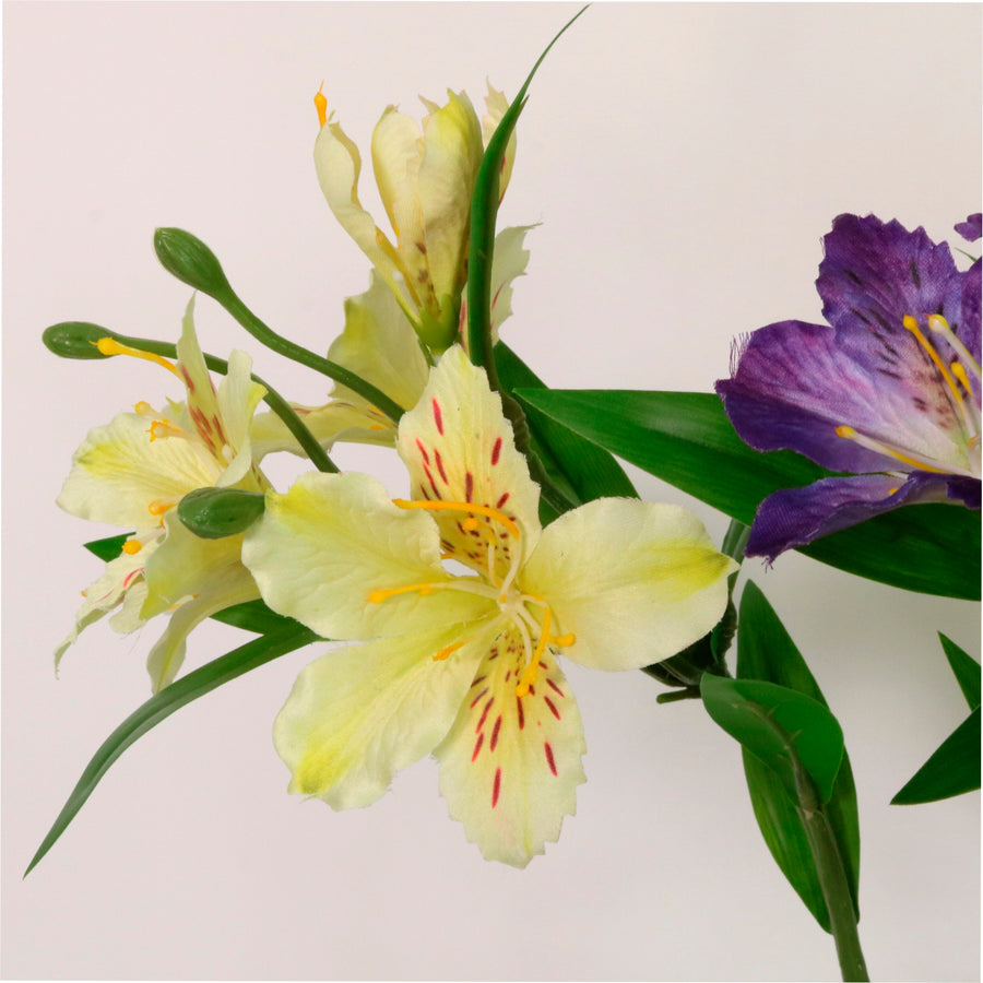 Speckled Alstroemeria Stem