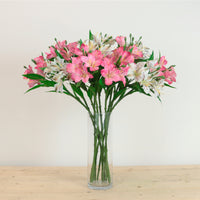 Speckled Alstroemeria Stem