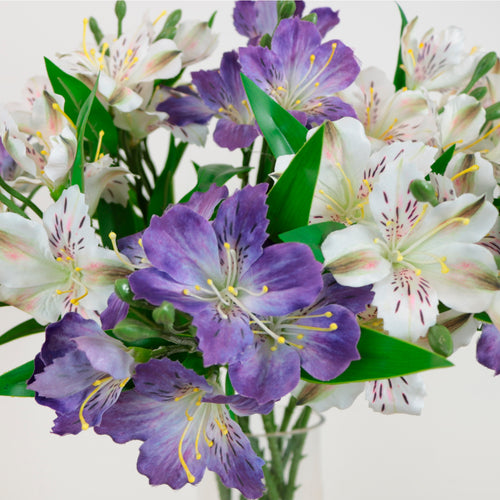 Speckled Alstroemeria Stem