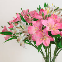 Speckled Alstroemeria Stem