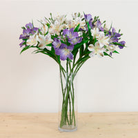 Speckled Alstroemeria Stem