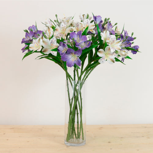 Speckled Alstroemeria Stem