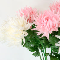 Spikey Mum Flower