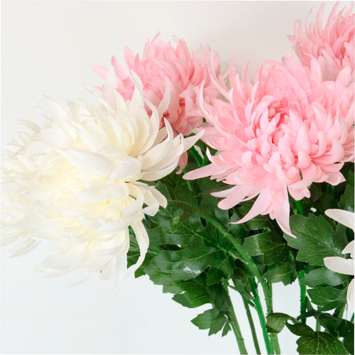 Spikey Mum Flower