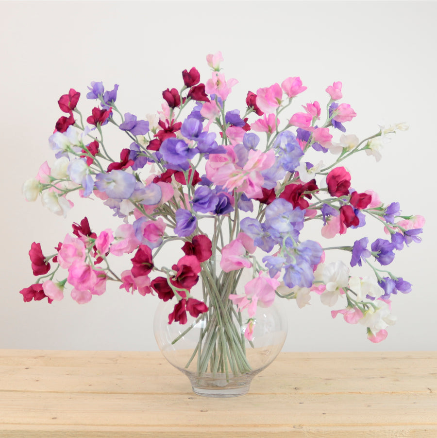 Sweet Pea