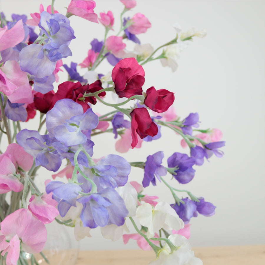 Sweet Pea