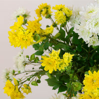 Traditional Chrysanthemum Spray
