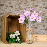 Trumpet Valentina Spray