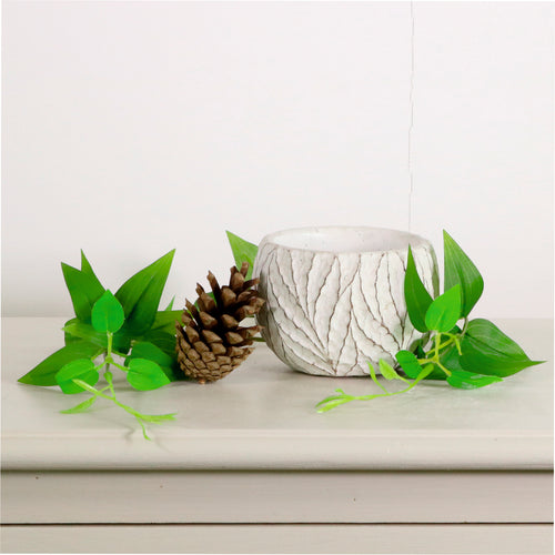 Round Bottom Vein Clay Pot (7cm)
