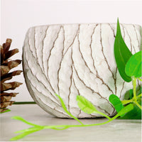 Round Bottom Vein Clay Pot (7cm)
