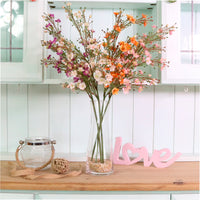 Waxflower Chamelaucium Spray