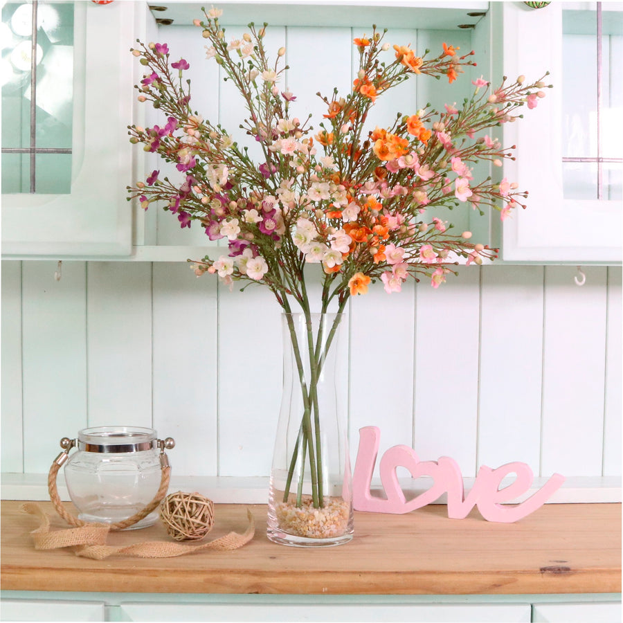 Waxflower Chamelaucium Spray