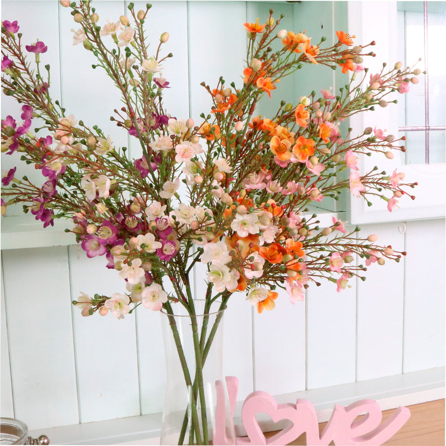 Waxflower Chamelaucium Spray