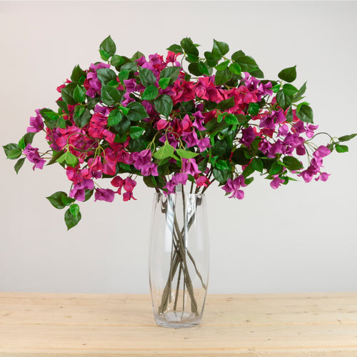 Wild Bougainvillea Spray Medium