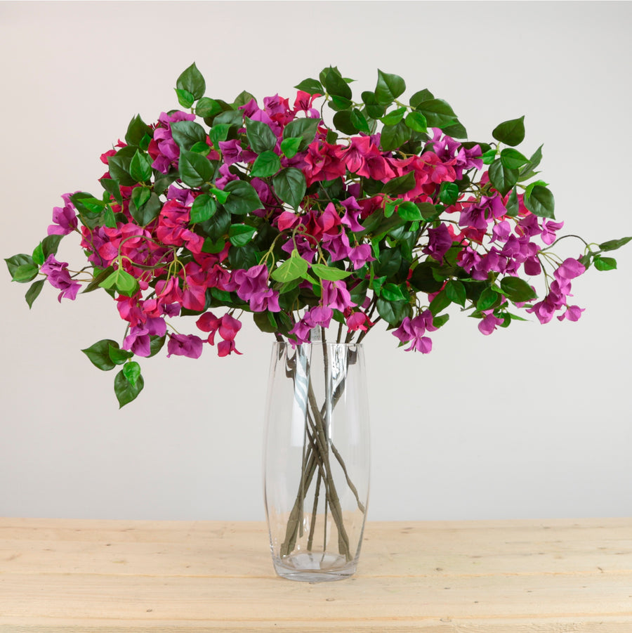 Wild Bougainvillea Spray Medium