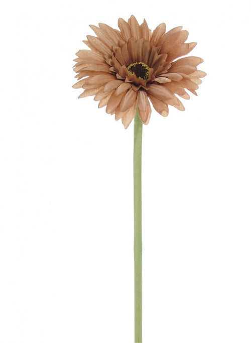 Small Gerbera Stem