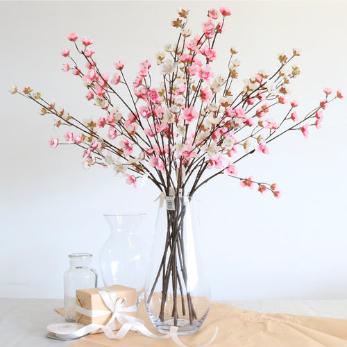 Japanese Cherry Blossom