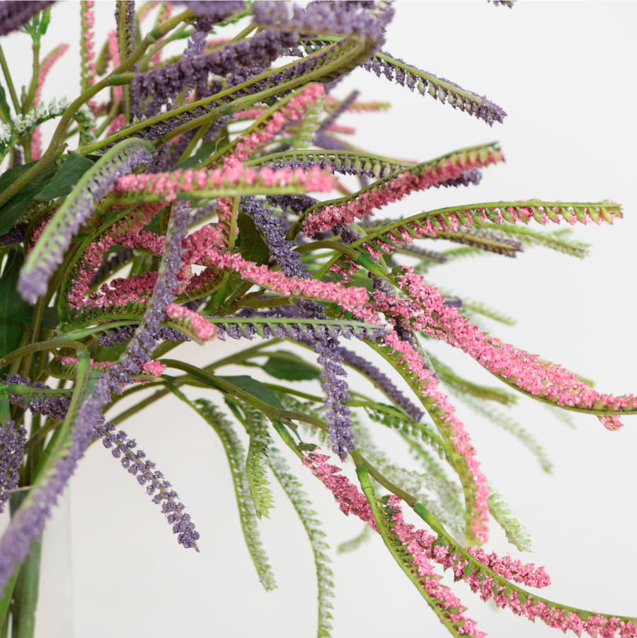 Spired Salvia Spray