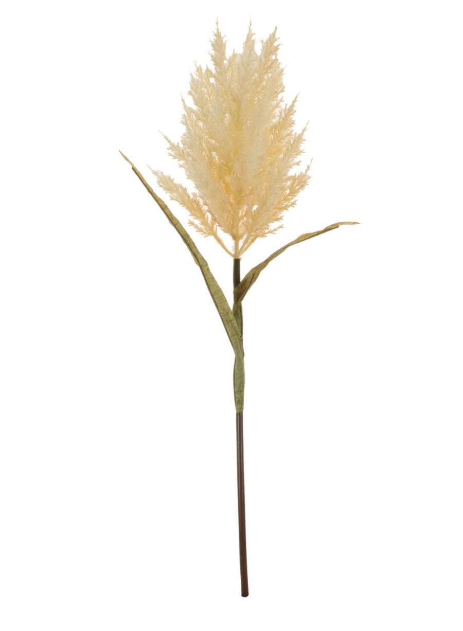 Feathered Astilbe (Large)