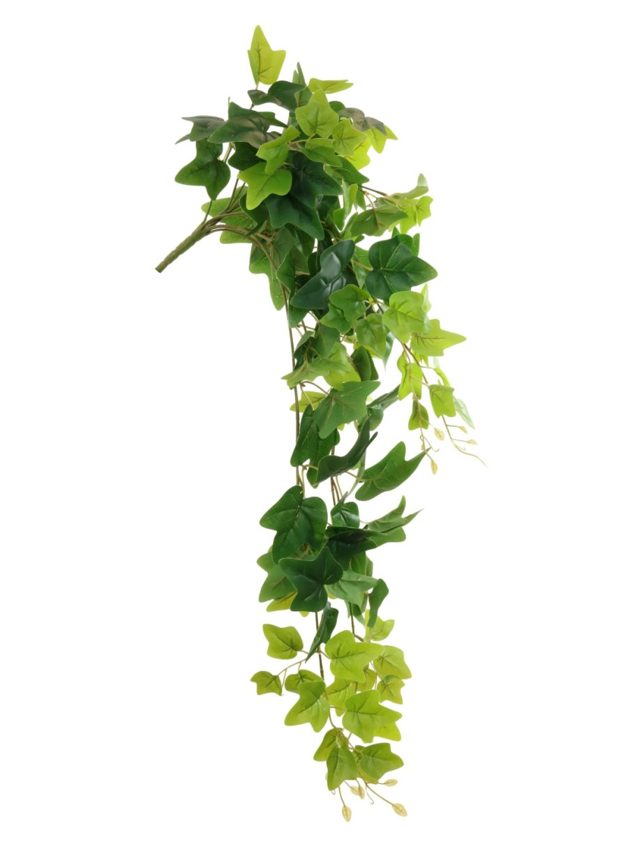 Printed Trailing Ivy Leaf (Large)