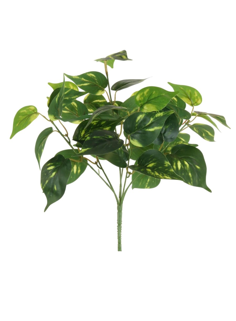 Printed Philodendron Leaf Bunch (Large)