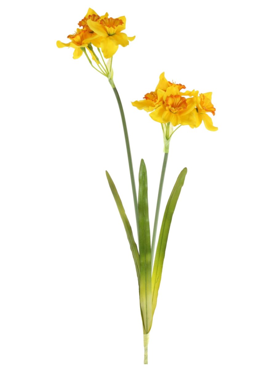 Ruffled Daffodil Spray