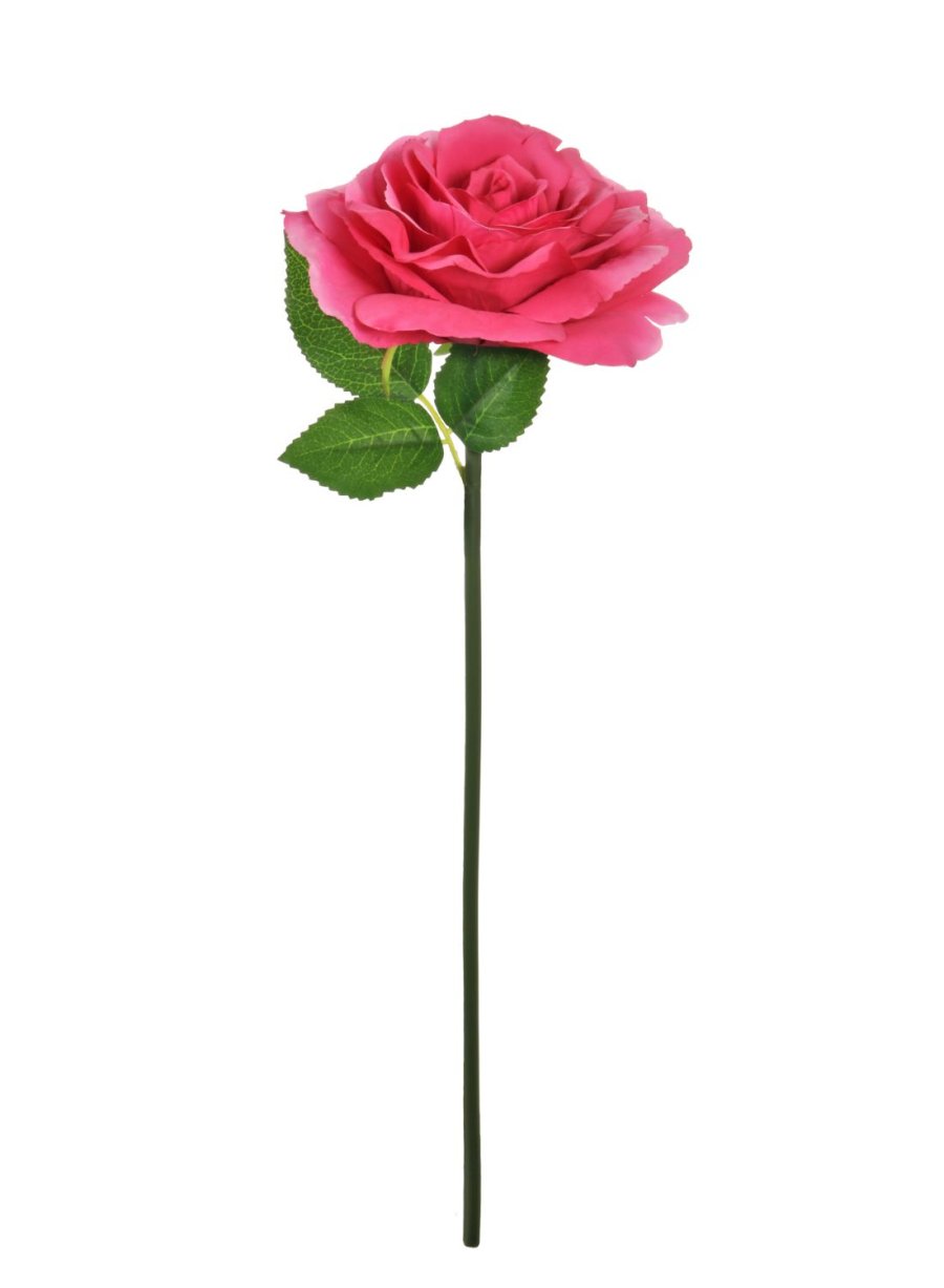 Short Stem Tudor Rose - 13 Colours Available