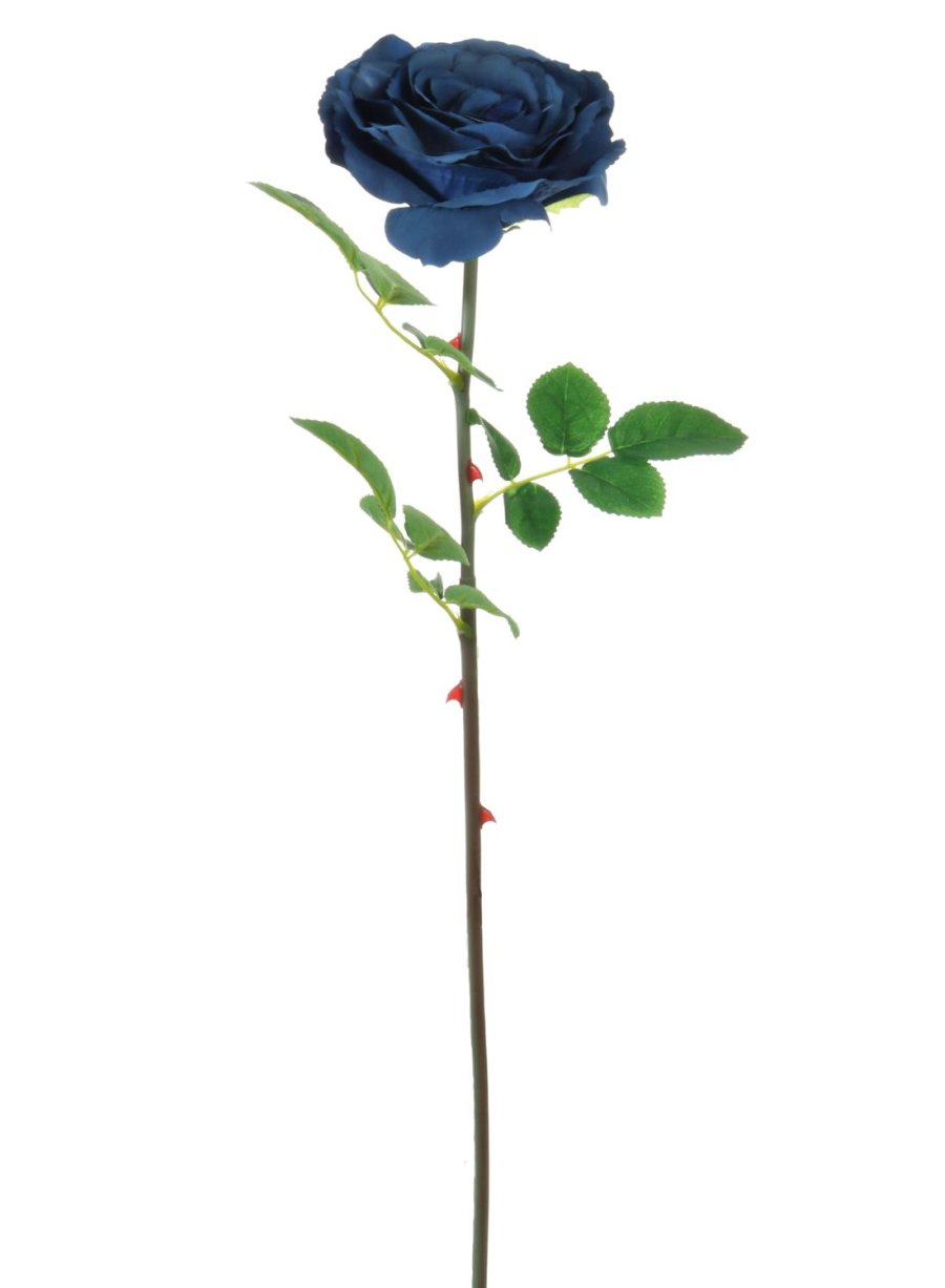 Tudor Rose (Long Stem)