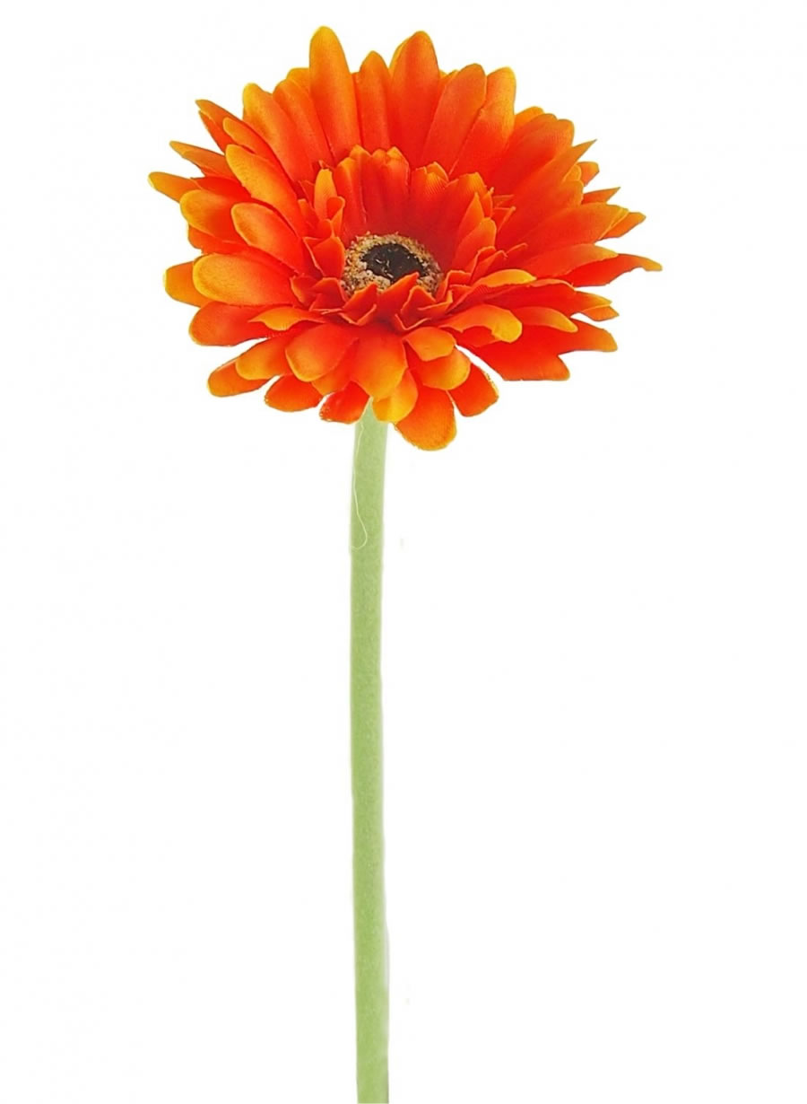 Small Single Gerbera - 13 Colours Available