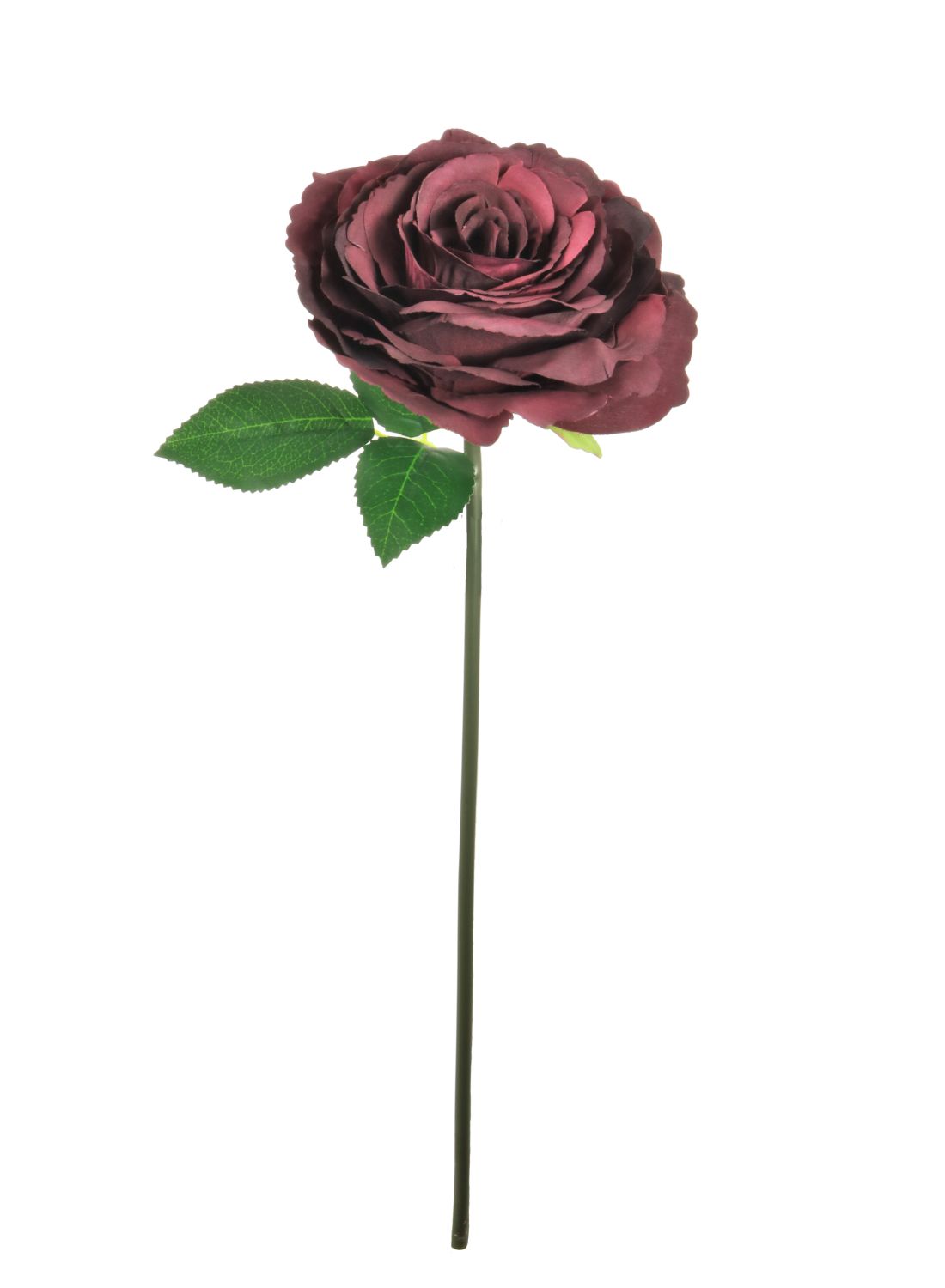 Short Stem Tudor Rose - 13 Colours Available