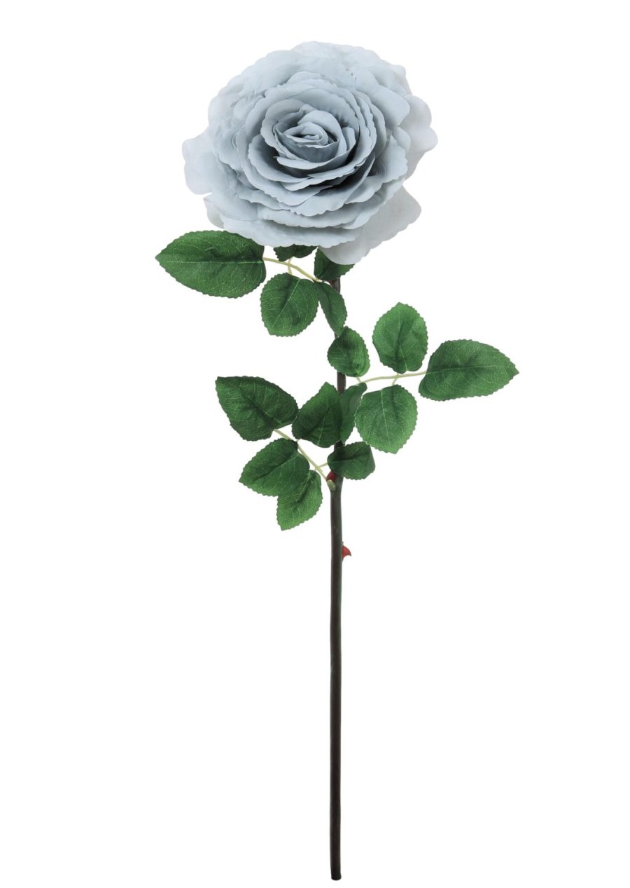Tudor Rose (Long Stem)