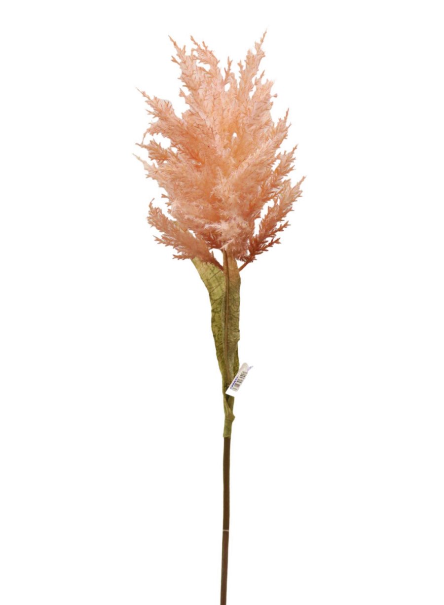 Feathered Astilbe (Large)