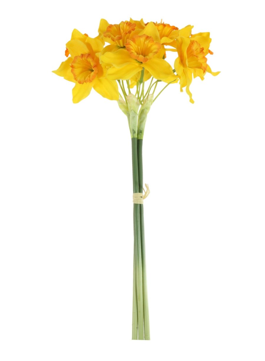 Ruffled Daffodil Bunch 