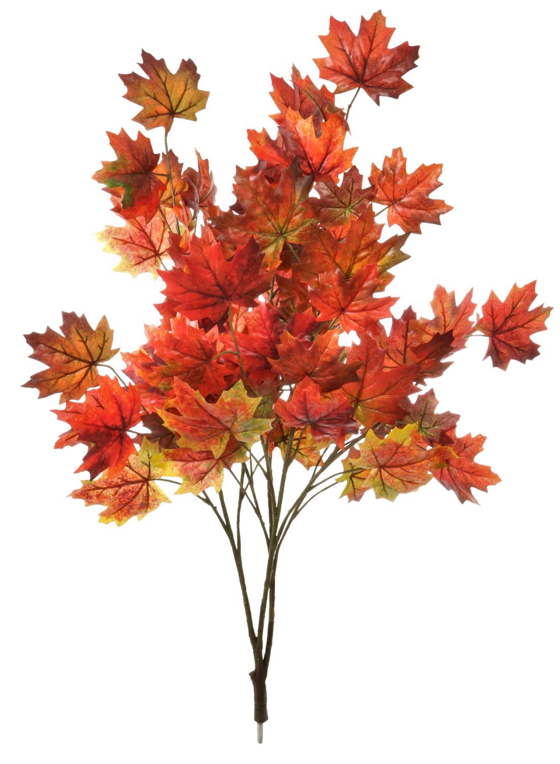 Autumn Leaf Branch Lotus Imports Ltd
