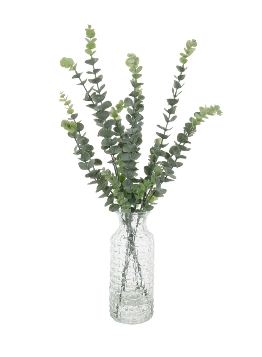 Eucalyptus In Woven Vase Arrangement (Dusted)