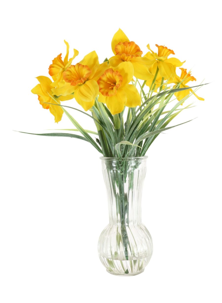 Ruffled Daffodil In Trumpet Vase