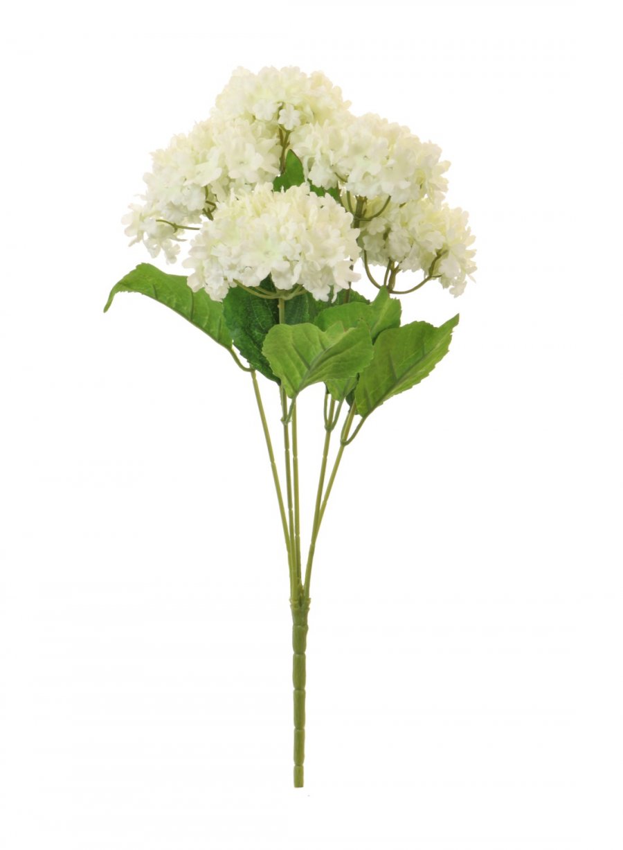 Hydrangea | Lotus Imports Ltd