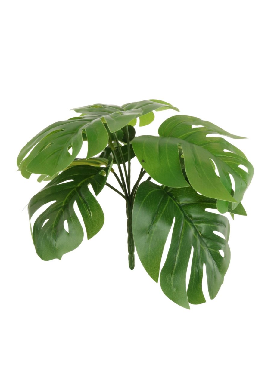 Monstera Bunch (Large)