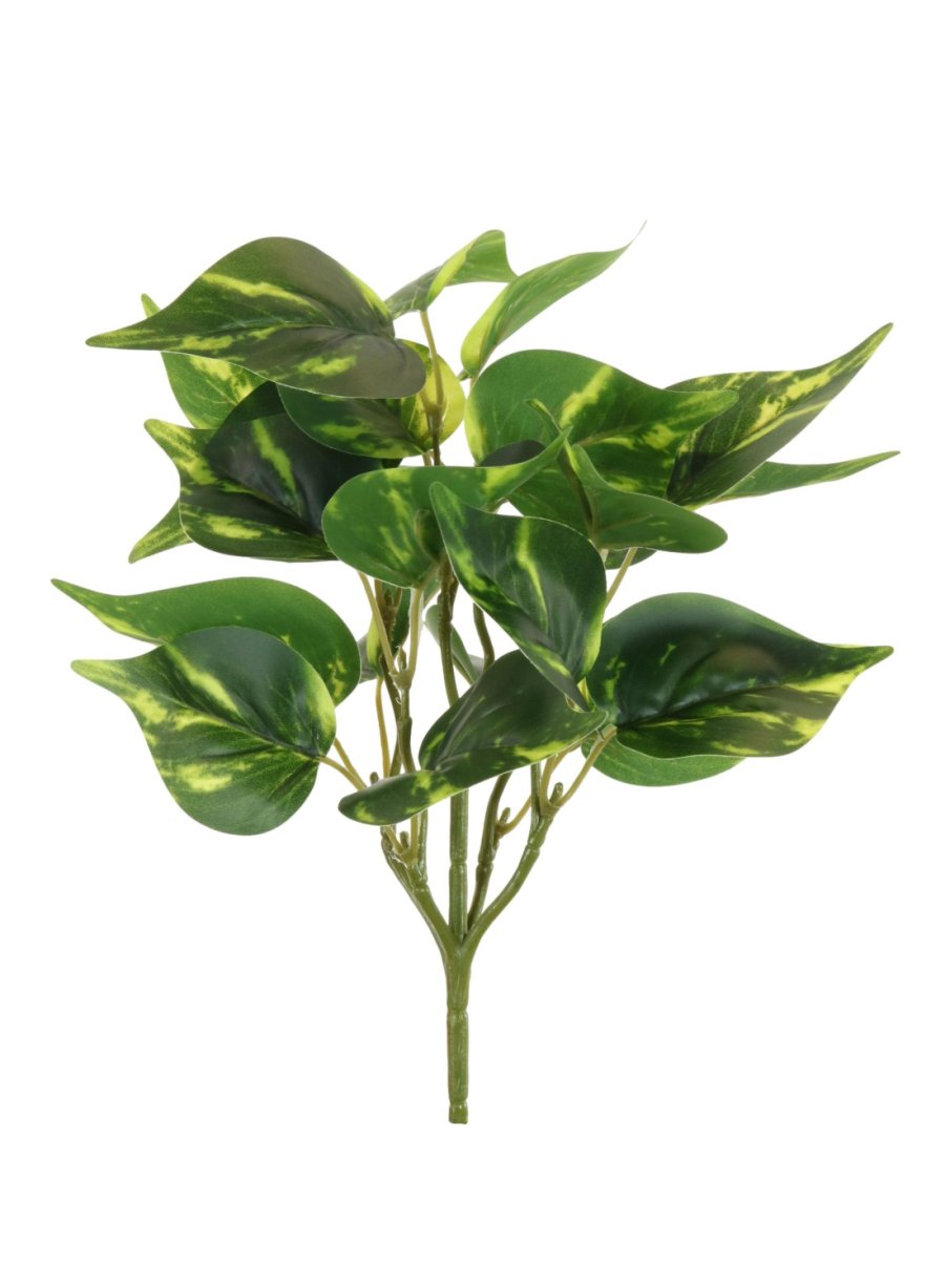 Printed Philodendron Leaf Bunch (Small)