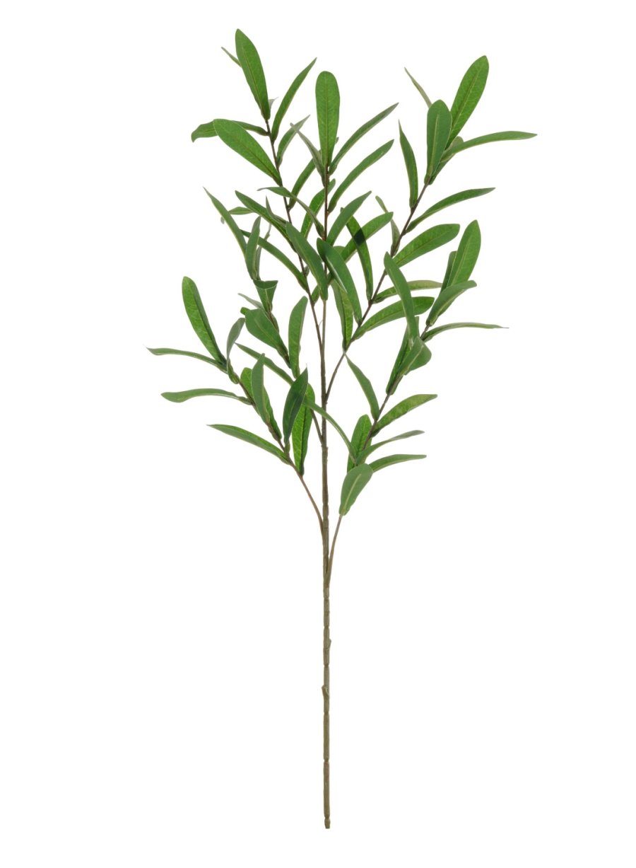 Olive Leaf Spray (Large)